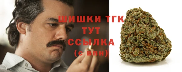ECSTASY Белокуриха