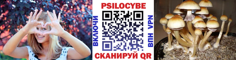 Галлюциногенные грибы мицелий  Долгопрудный 