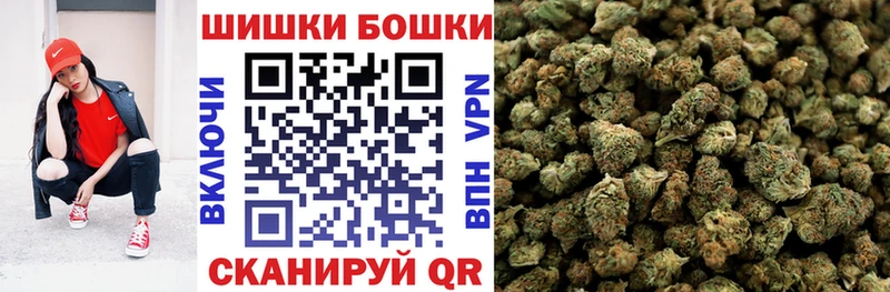 где купить наркоту  Долгопрудный  Бошки марихуана THC 21% 